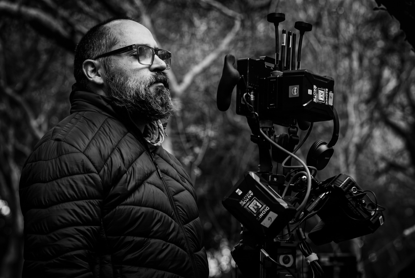 Guillermo Carbonell, director portrait